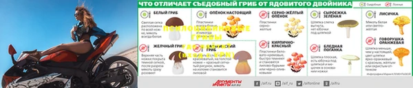 твердый Верея