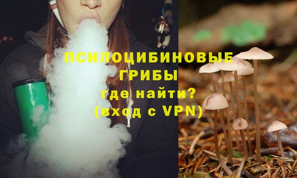 твердый Верея